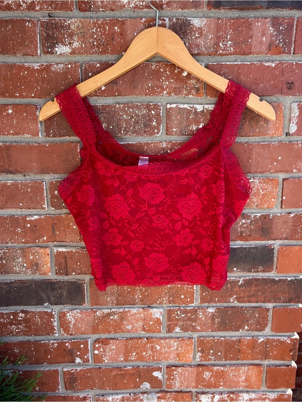 Deep Red Lace Floral Crop Tank Top